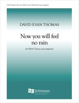 David Evan Thomas: Now You Will Feel No Rain