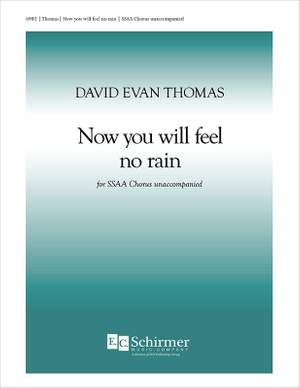 David Evan Thomas: Now You Will Feel No Rain
