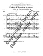 Henry Mollicone: National Weather Forecast Product Image