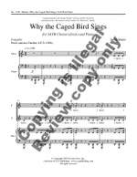 Judith Shatin: Why the Caged Bird Sings Product Image