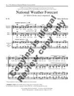 Henry Mollicone: National Weather Forecast Product Image