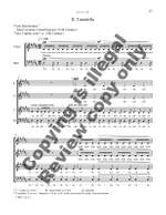 Steven Sametz: Carmina amoris Product Image