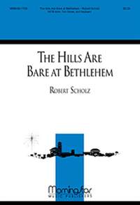 Robert Scholz: The Hills Are Bare at Bethlehem