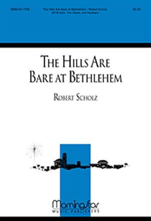 Robert Scholz: The Hills Are Bare at Bethlehem