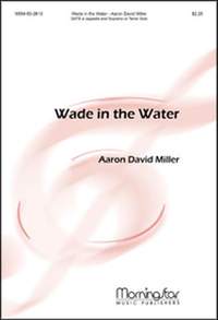 Aaron David Miller: Wade In the Water