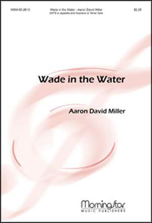 Aaron David Miller: Wade In the Water