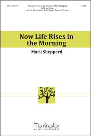 Mark Shepperd: Now Life Rises in the Morning