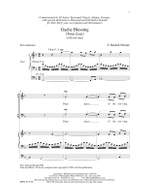Z. Randall Stroope: Gaelic Blessing Product Image