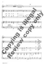 John Ylvisaker: Borning Cry Product Image
