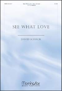 David Schack: See What Love