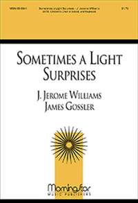 J. Jerome Williams: Sometimes a Light Surprises