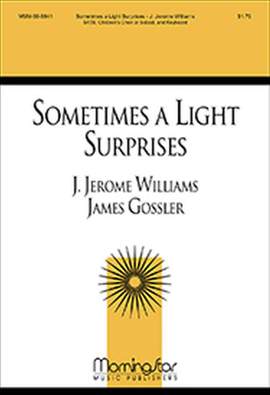 J. Jerome Williams: Sometimes a Light Surprises
