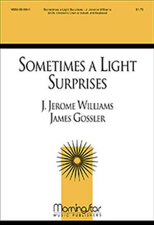 J. Jerome Williams: Sometimes a Light Surprises