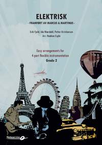 Erik Fjeld_Ida Woerdahl_Petter Kristiansen: Elektrisk