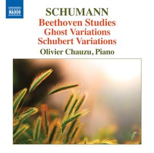 Schumann: Beethoven Studies