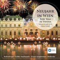 Neujahr in Wien - New Year in Vienna