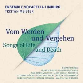 Vom Werden und Vergehen