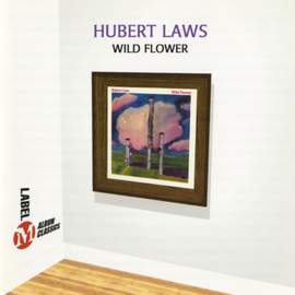 Wild Flower