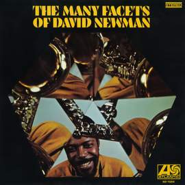 The Many Facets Of David Newman
