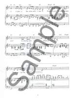 Professional Singers Audition Book Product Image
