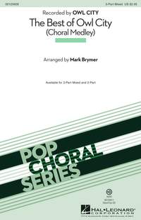 Adam Young: The Best of Owl City