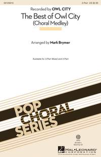 Adam Young: The Best of Owl City