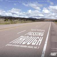 Gernot Wolfgang: Passing Through