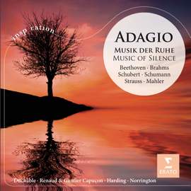 Adagio - Music of Silence