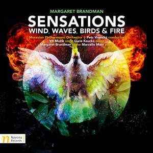 Sensations: Wind, Waves, Birds & Fire