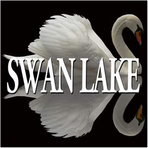 Tchaikovsky : Swan Lake & The Sleeping Beauty (Excerpts)