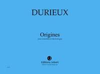 Frédéric Durieux: Origines