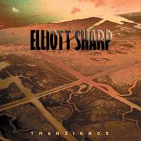 Elliott Sharp: Tranzience