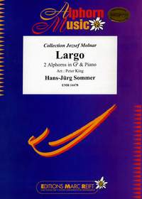 Hans-Jürg Sommer: Largo