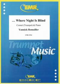 Yannick Romailler: ...Where Night Is Blind