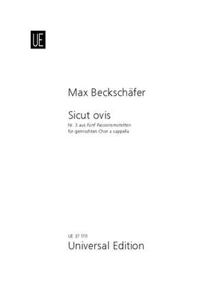 Beckschäfer Max: Sicut ovis