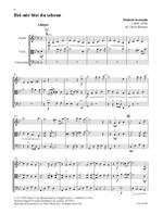 String Trios from Around the World Product Image