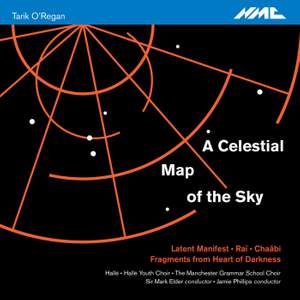 Tarik O'Regan: A Celestial Map of the Sky Product Image