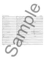 James Weeks: Looping Busker Music Product Image