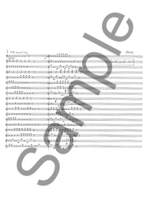 James Weeks: Looping Busker Music Product Image