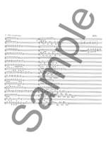 James Weeks: Looping Busker Music Product Image