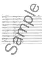 James Weeks: Looping Busker Music Product Image