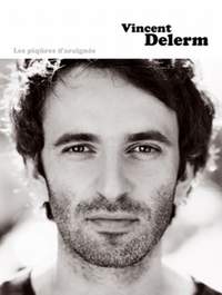 Delerm, Vincent: Les Piqures d'araignee