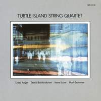 Turtle Island String Quartet