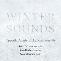 Winter Sounds