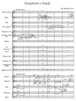 Stojowski, Sigismund: Symphonie in d- Moll für grosses Orchester Op. 21 Product Image