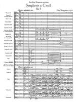 Weingartner, Felix: Symphony No. 5 in C minor, op. 71 Product Image