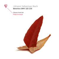 Bach: Motetten BWV 225-230 - Vinyl Edition