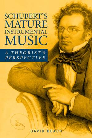 Schubert's Mature Instrumental Music: A Theorist's Perspective