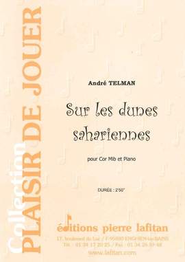 Sur Les Dunes Sahariennes