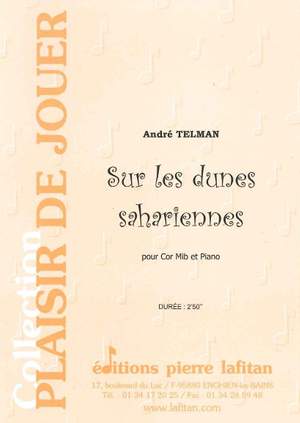 Sur Les Dunes Sahariennes